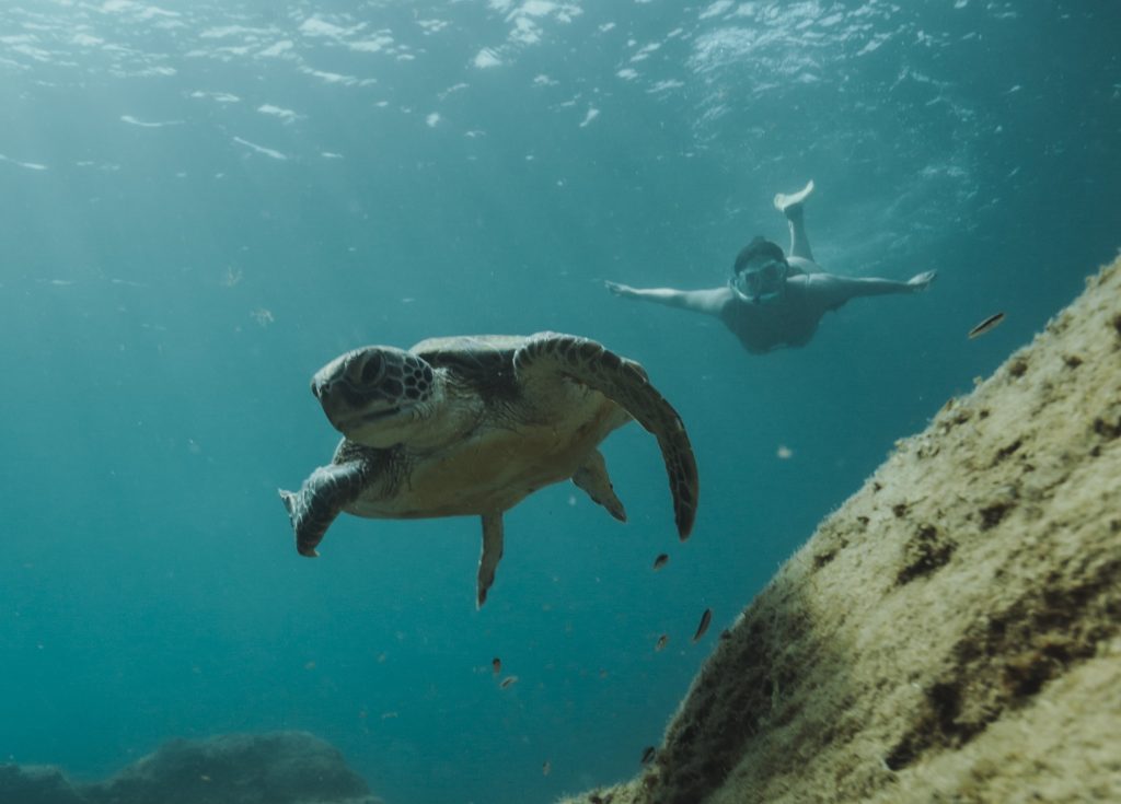 Mergulho em Noronha