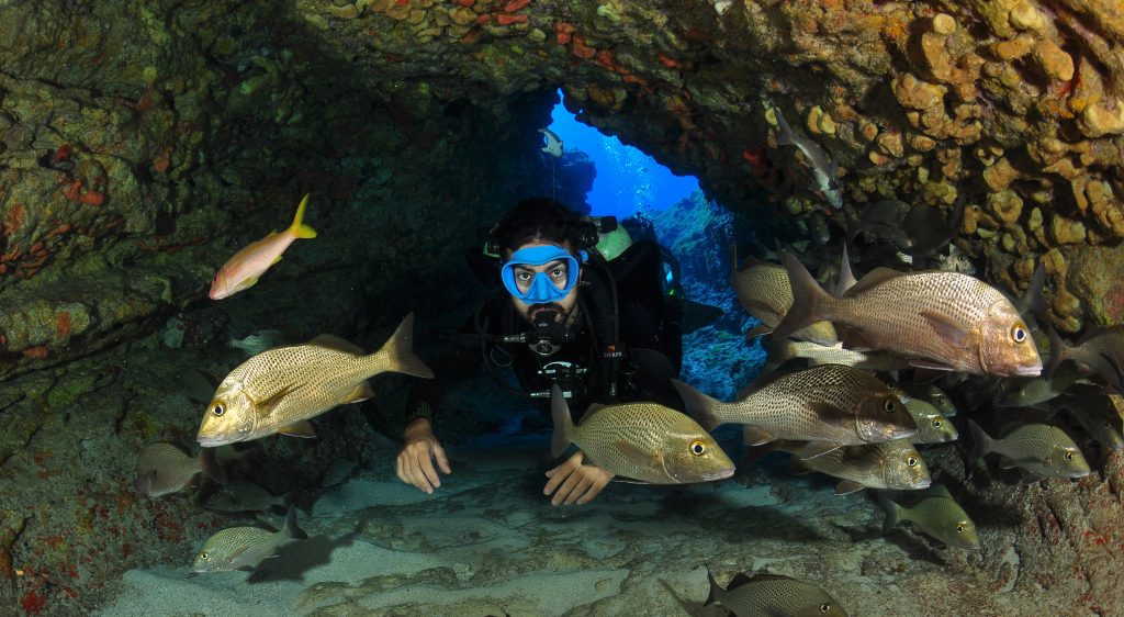 Mergulho em Noronha
