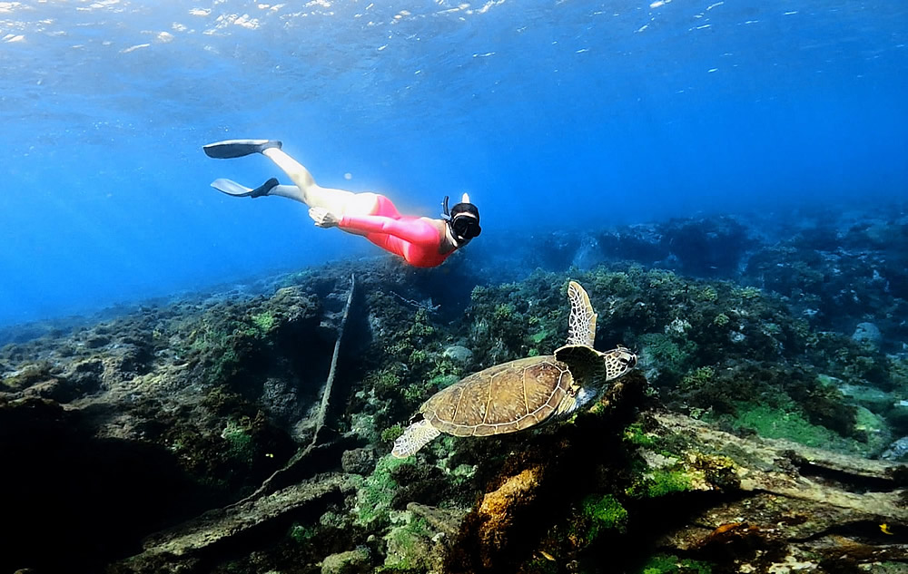 Snorkel em Fernando de Noronha